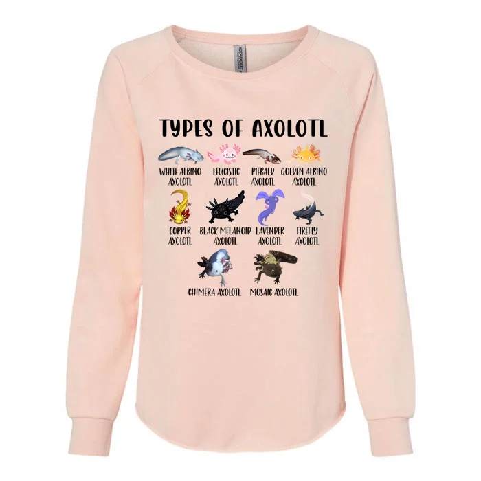 Funny Types Of Axolotl Art Cute Different Species Of Axolotl Womens California Wash Sweatshirt