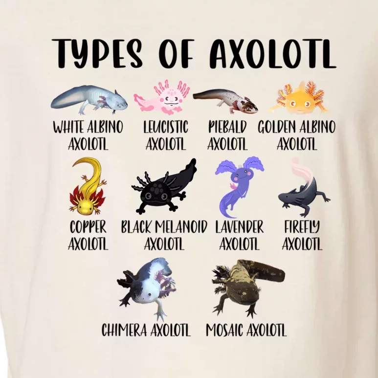 Funny Types Of Axolotl Art Cute Different Species Of Axolotl Garment-Dyed Women's Muscle Tee