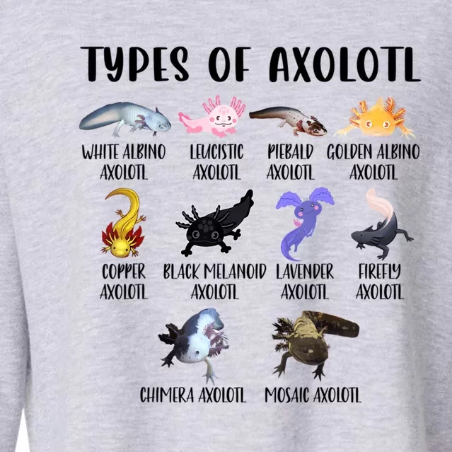 Funny Types Of Axolotl Art Cute Different Species Of Axolotl Cropped Pullover Crew