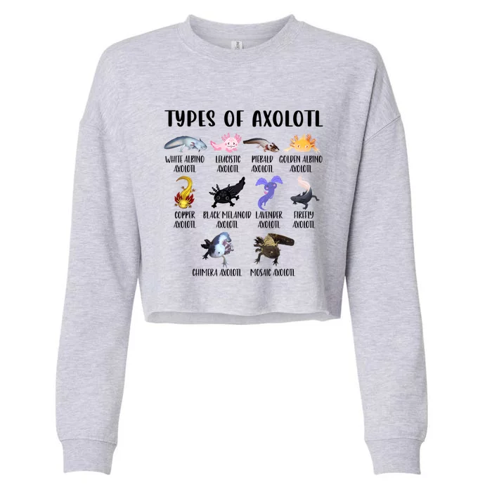 Funny Types Of Axolotl Art Cute Different Species Of Axolotl Cropped Pullover Crew