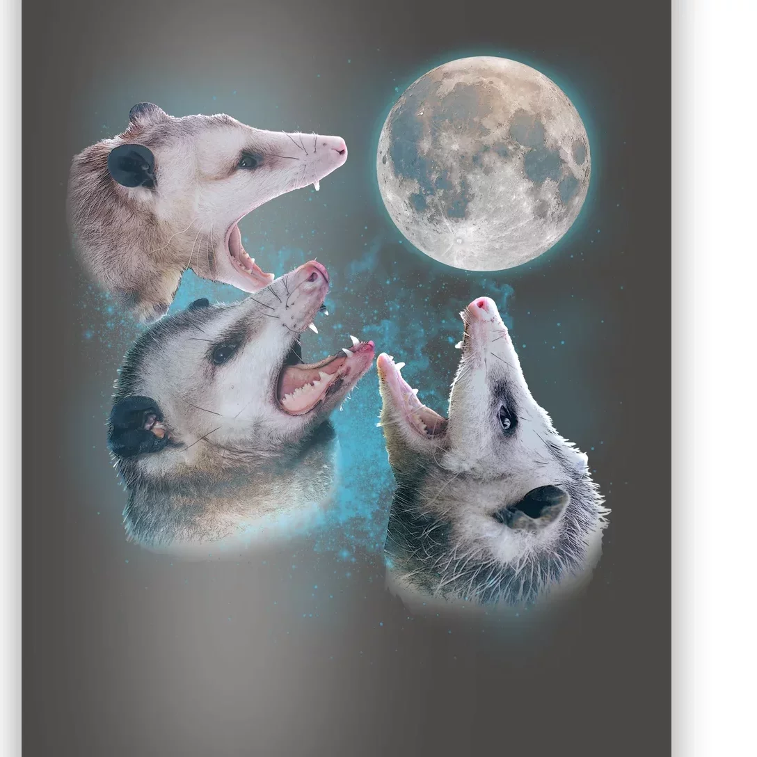 Funny Three Opossum Moon Poster