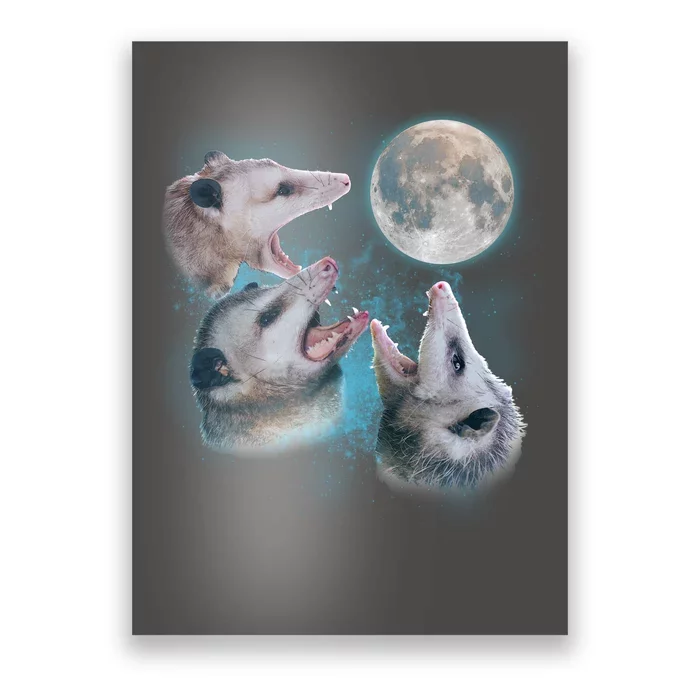 Funny Three Opossum Moon Poster