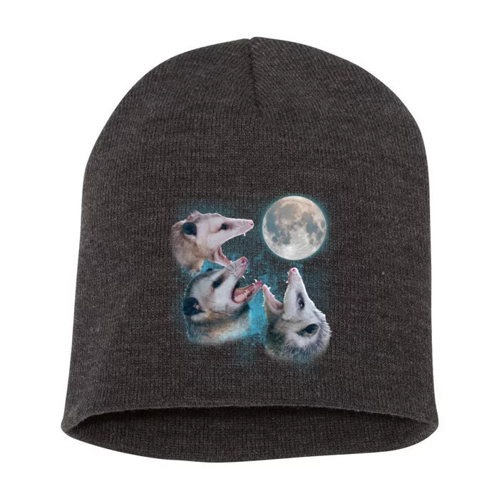 Funny Three Opossum Moon Short Acrylic Beanie