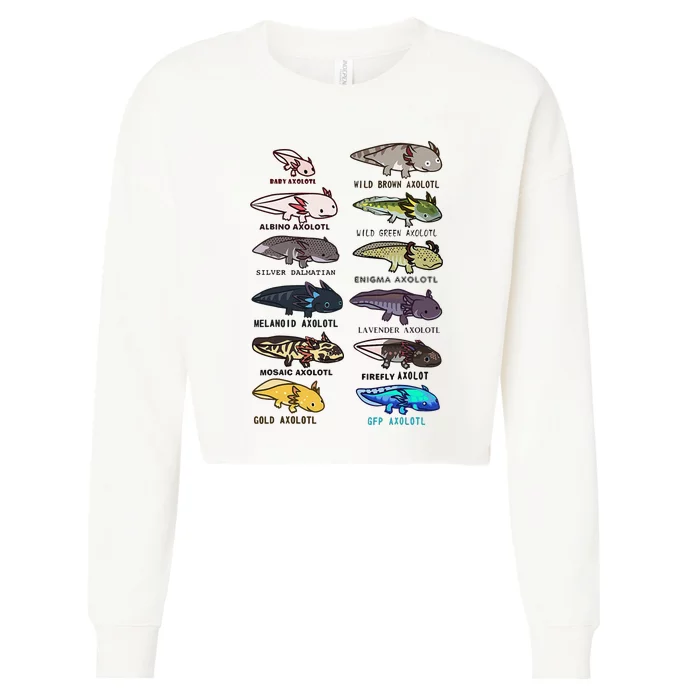 Funny Type Of Axolotls Funny Axolotl Lovers Cropped Pullover Crew