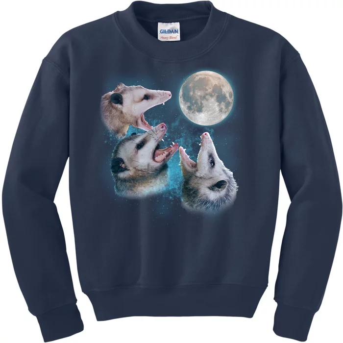 Funny Three Opossom Moon Kids Sweatshirt