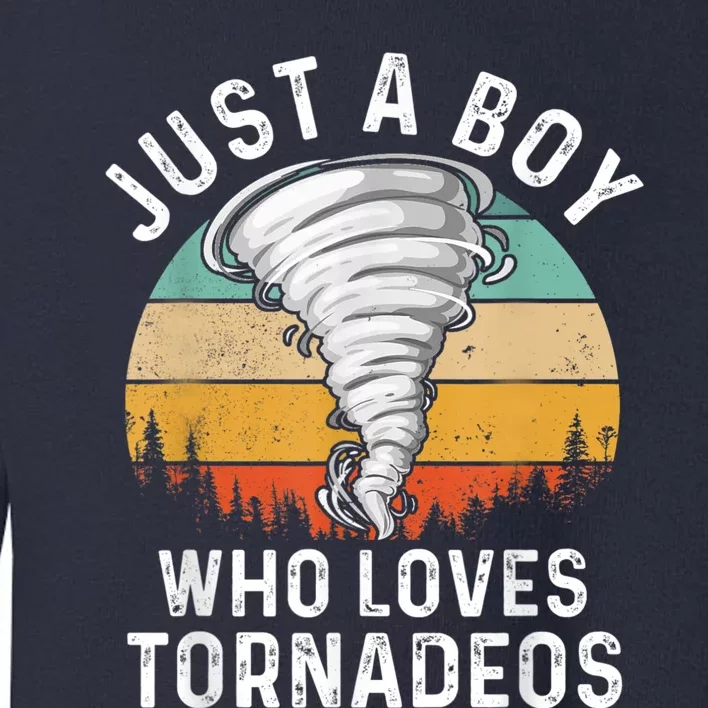 Funny Tornado Storm Chasing Twister Hurricane Boys Toddler Sweatshirt