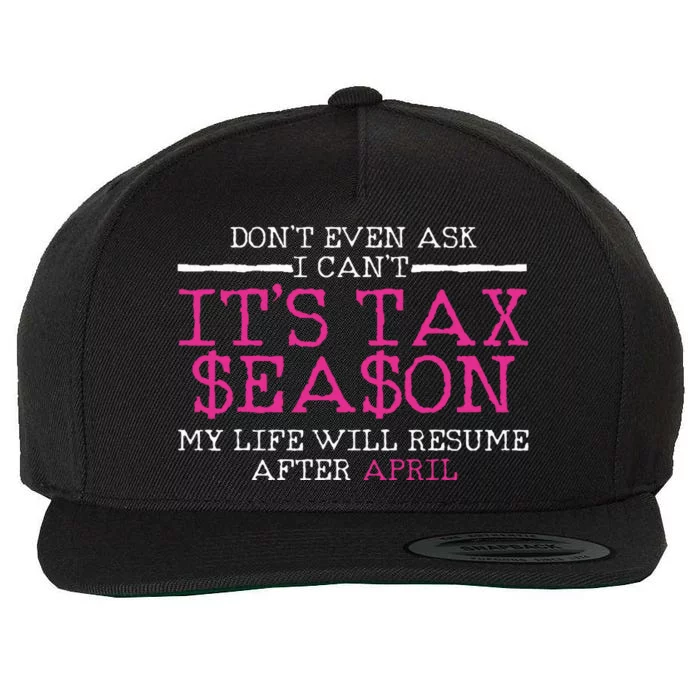 Funny Tax Season Accountant Taxation Gift Wool Snapback Cap