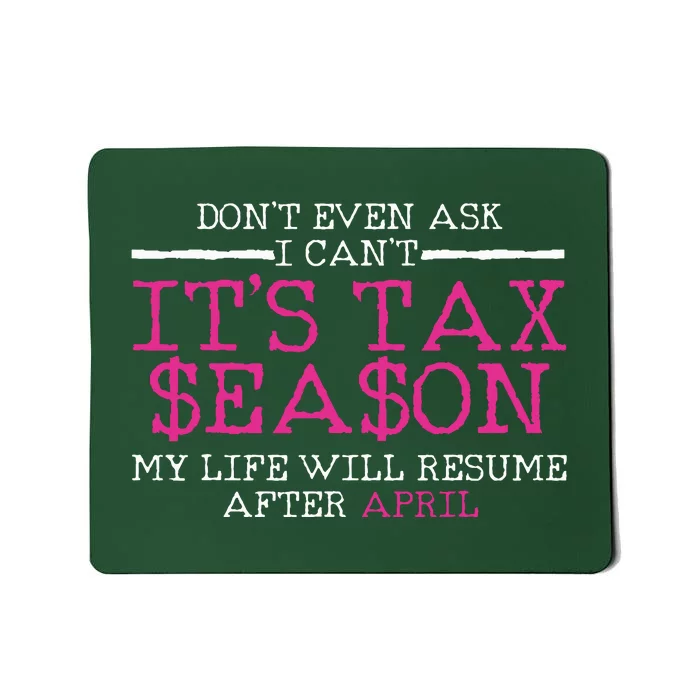 Funny Tax Season Accountant Taxation Gift Mousepad