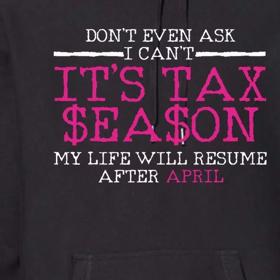 Funny Tax Season Accountant Taxation Gift Premium Hoodie