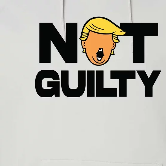 Free Trump Support Trump Trump Not Guilty Performance Fleece Hoodie