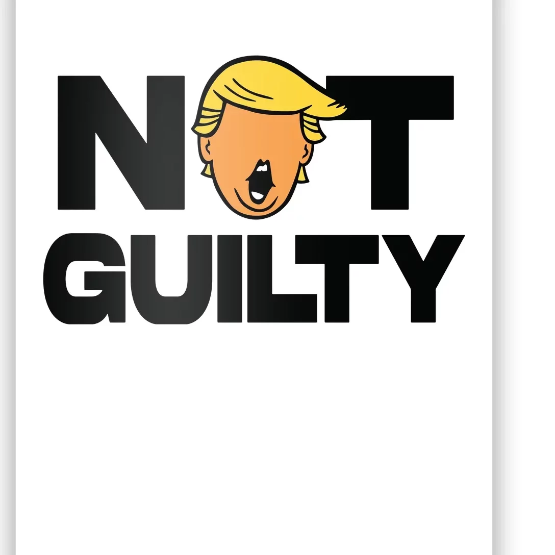 Free Trump Support Trump Trump Not Guilty Poster