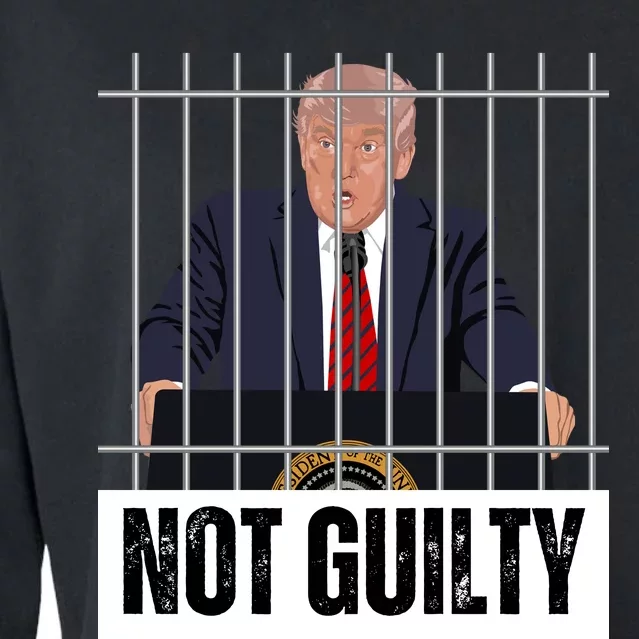 Free Trump. Trump Not Guilty, Pro Trump Supporter Cropped Pullover Crew