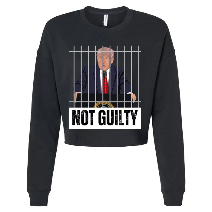 Free Trump. Trump Not Guilty, Pro Trump Supporter Cropped Pullover Crew