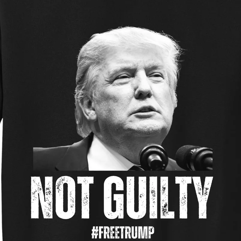 Free Trump. Trump Not Guilty, Pro Trump Supporter Sweatshirt