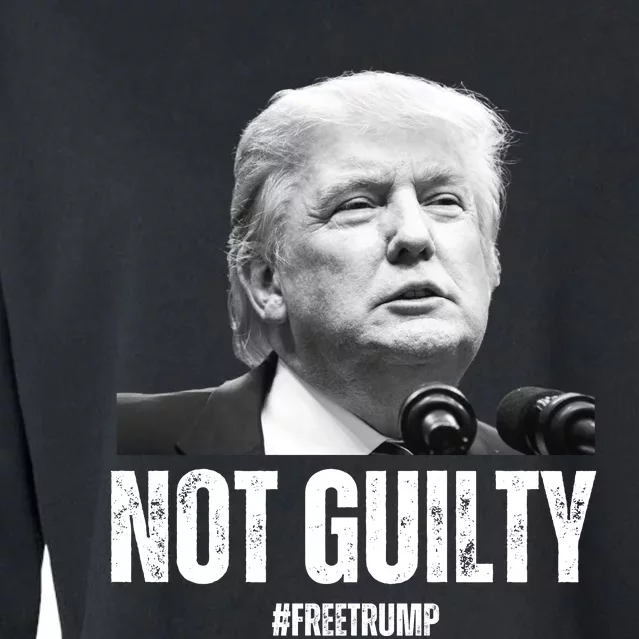 Free Trump. Trump Not Guilty, Pro Trump Supporter Cropped Pullover Crew