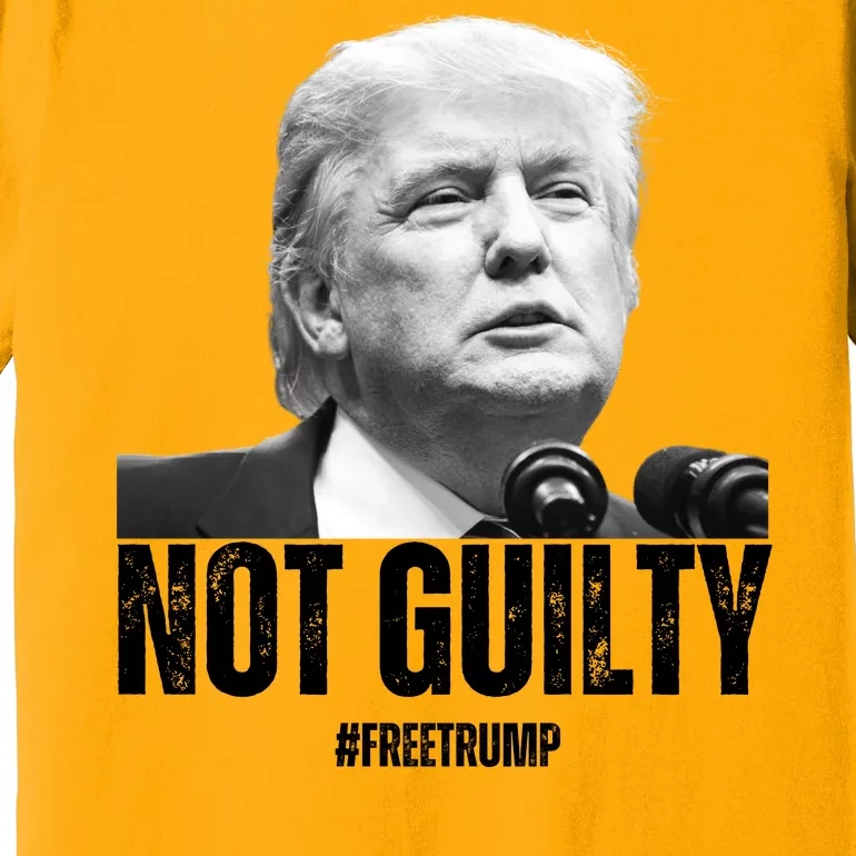 Free Trump. Trump Not Guilty, Pro Trump Supporter Premium T-Shirt