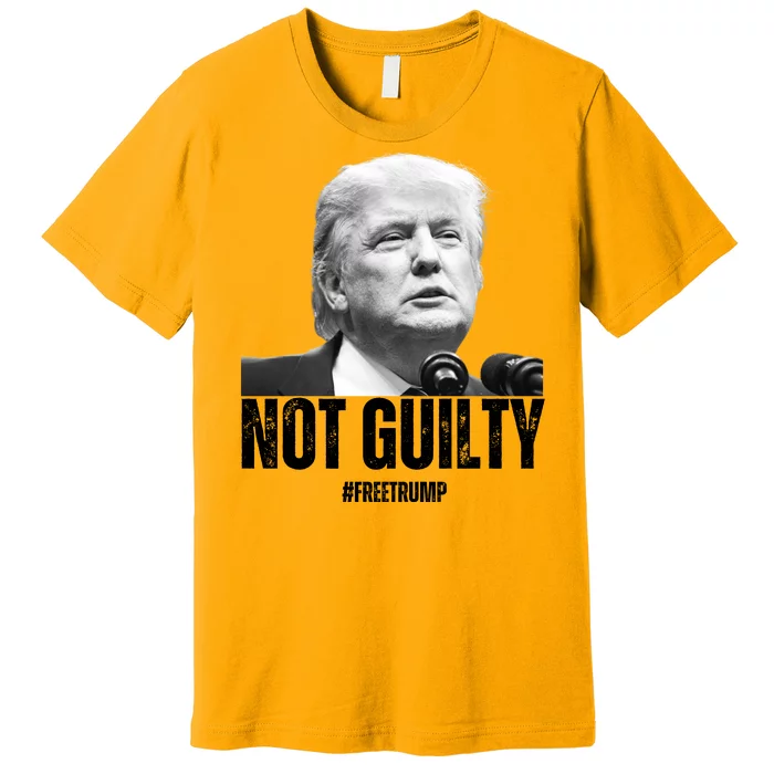 Free Trump. Trump Not Guilty, Pro Trump Supporter Premium T-Shirt