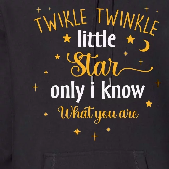 Funny Twinkle Twinkle Little Star Only I Know What You Are Premium Hoodie