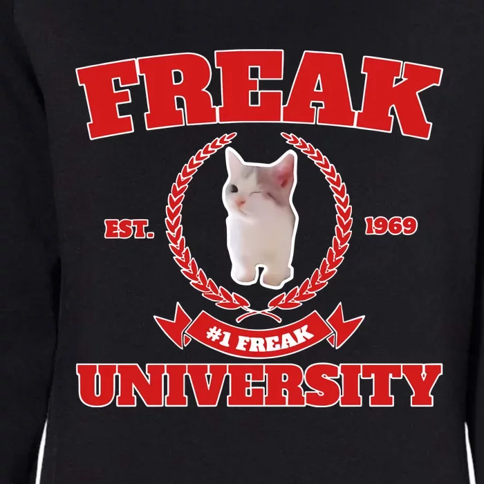 Freak University #1 Freak Cat Est 1969 Womens California Wash Sweatshirt