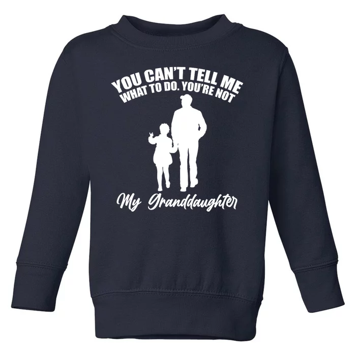 Funny & Cute Granddaughter And Grandfather Toddler Sweatshirt