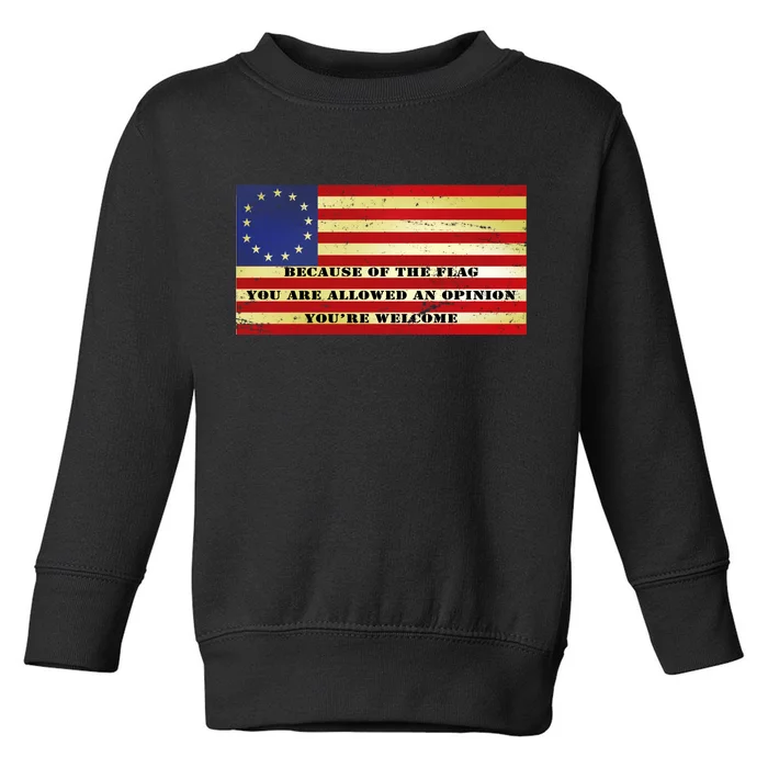 Funny Betsy Ross Original 13 Colony Flag Toddler Sweatshirt