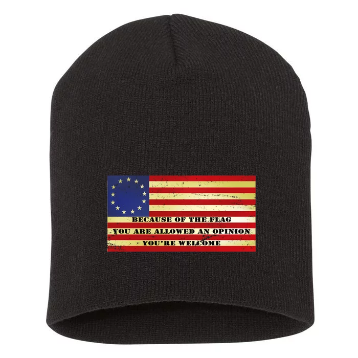 Funny Betsy Ross Original 13 Colony Flag Short Acrylic Beanie