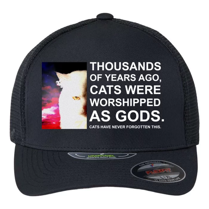 Funny Cat Flexfit Unipanel Trucker Cap