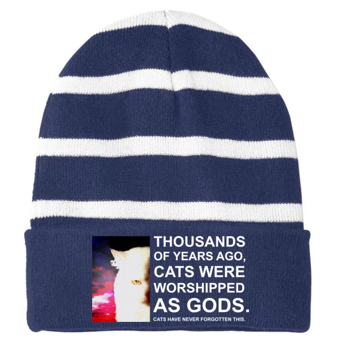 Funny Cat Striped Beanie with Solid Band