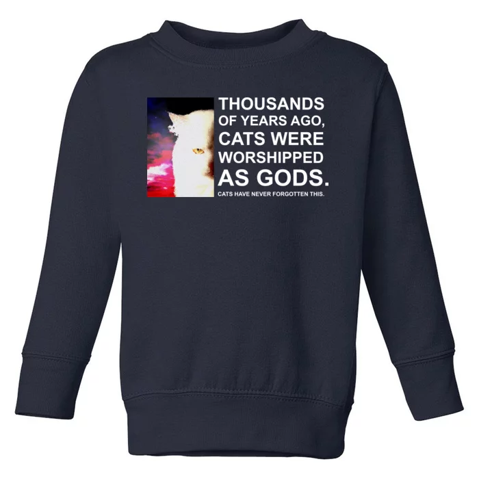 Funny Cat Toddler Sweatshirt