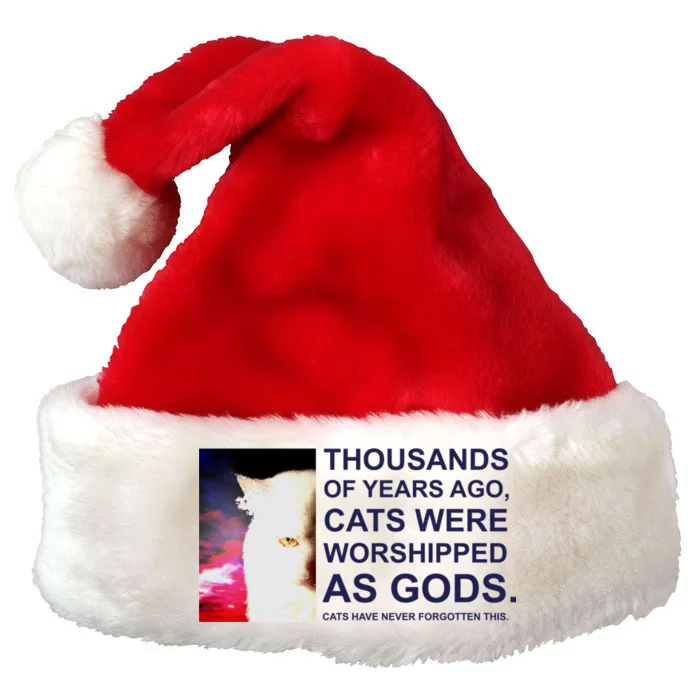 Funny Cat Premium Christmas Santa Hat