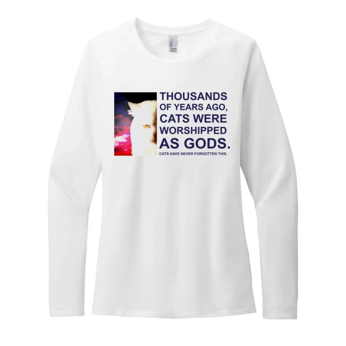 Funny Cat Womens CVC Long Sleeve Shirt