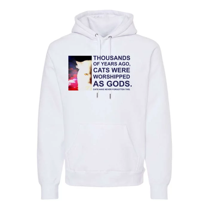 Funny Cat Premium Hoodie