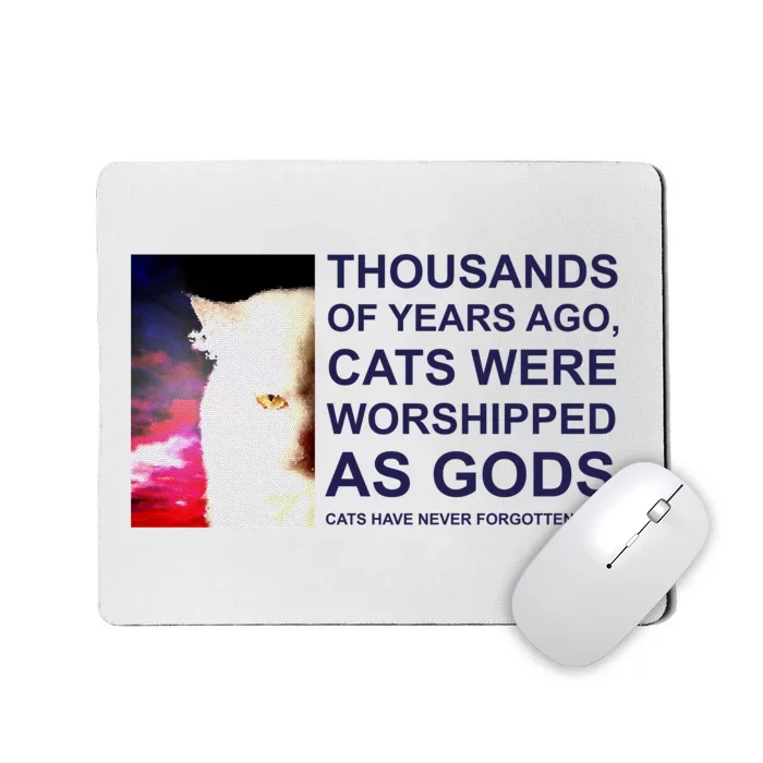 Funny Cat Mousepad