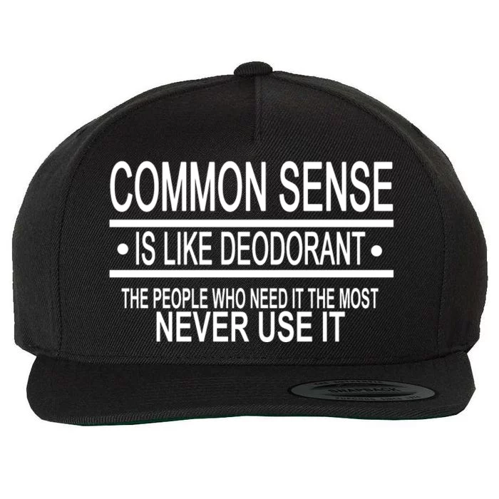 Funny Common Sense Sarcastic Meme Wool Snapback Cap