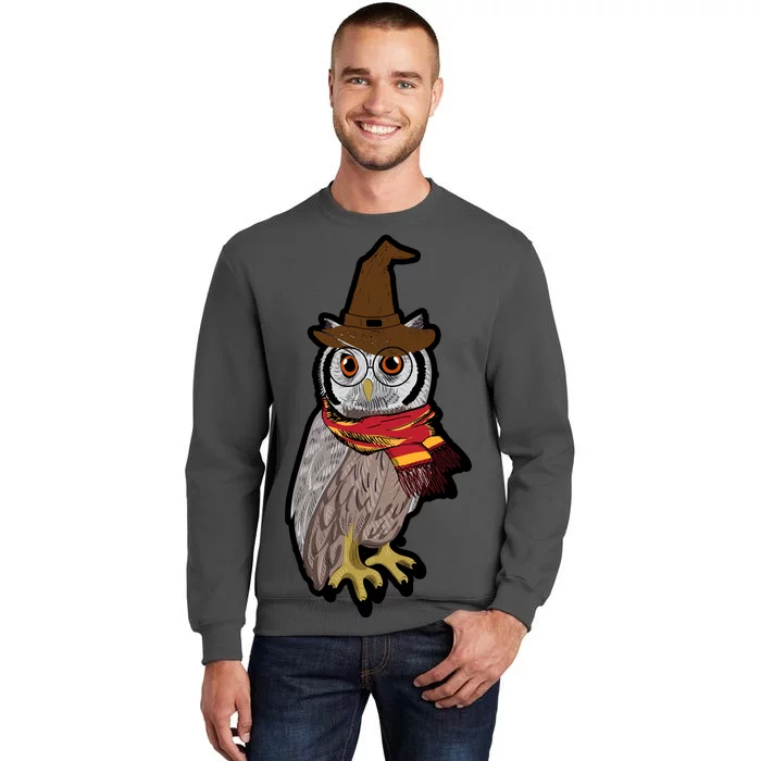 Funny Cute Owl Halloween Tall Sweatshirt