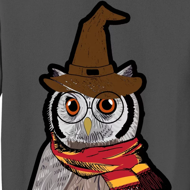 Funny Cute Owl Halloween Tall Sweatshirt