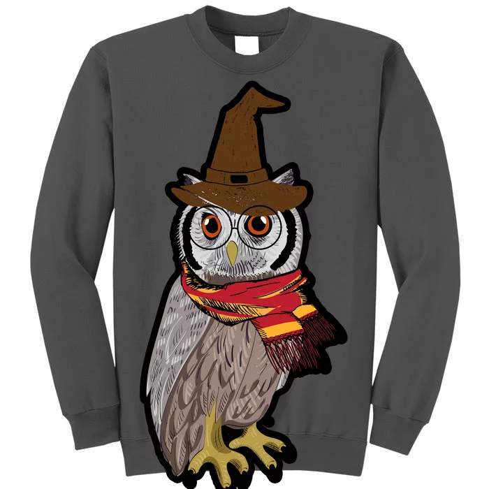 Funny Cute Owl Halloween Tall Sweatshirt