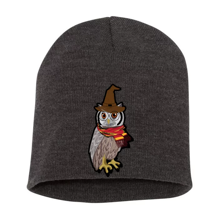 Funny Cute Owl Halloween Short Acrylic Beanie