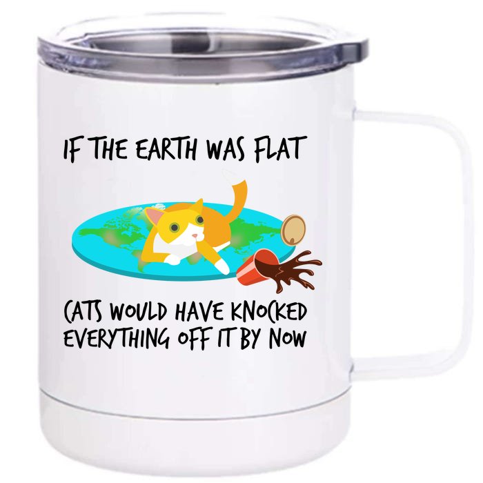 Funny Earth Cat Front & Back 12oz Stainless Steel Tumbler Cup