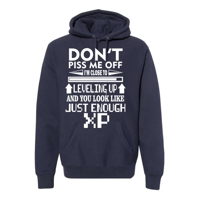 Funny Gamer Premium Hoodie