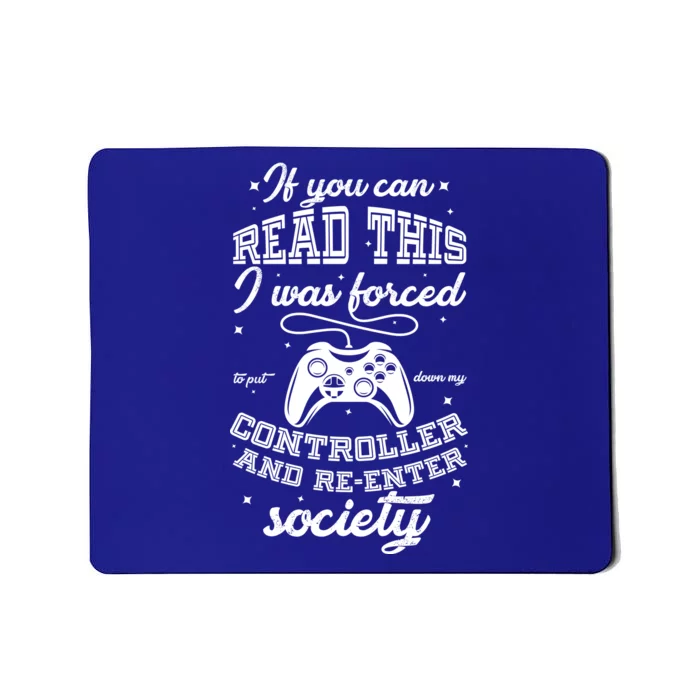 Funny Gamer Re-Enter Society Mousepad