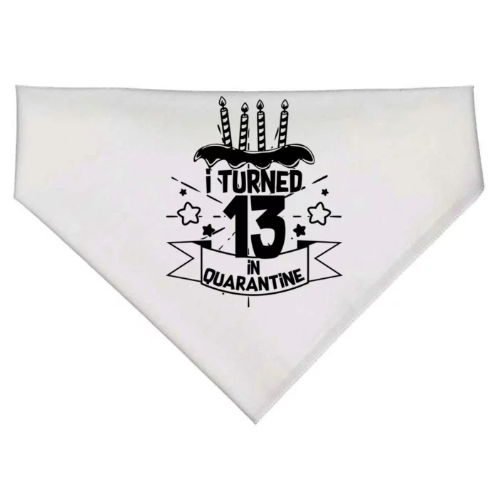 Funny I Turned 13 In Quarantine 13th Birthday USA-Made Doggie Bandana