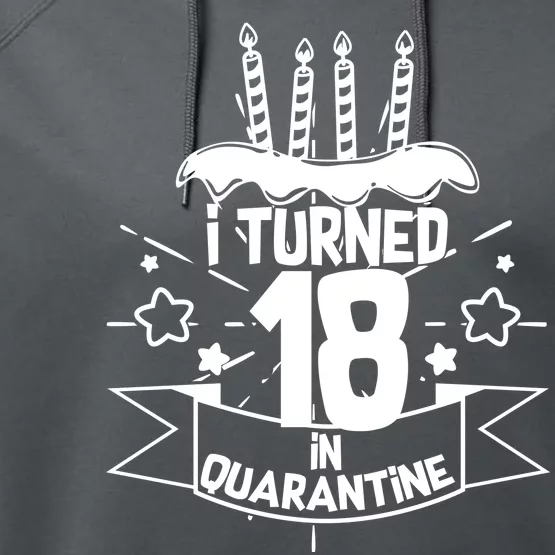 Funny I Turned 18 In Quarantine 18th Birthday Performance Fleece Hoodie