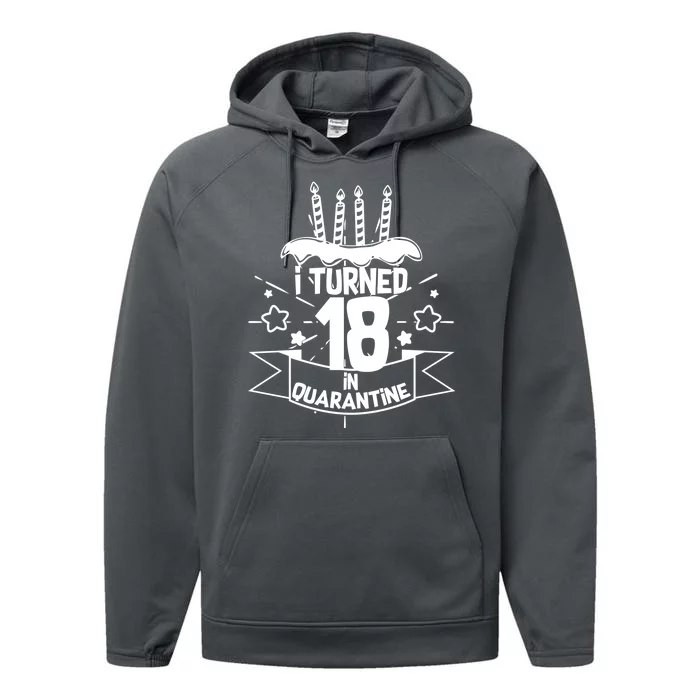 Funny I Turned 18 In Quarantine 18th Birthday Performance Fleece Hoodie