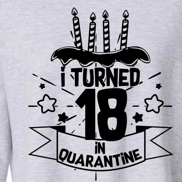 Funny I Turned 18 In Quarantine 18th Birthday Cropped Pullover Crew