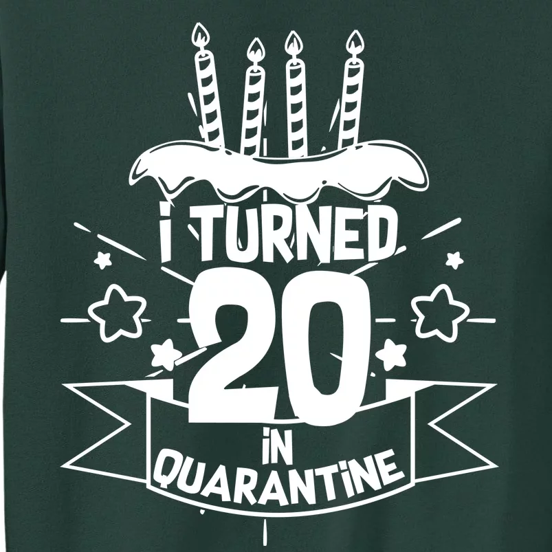 Funny I Turned 20 In Quarantine 20th Birthday Sweatshirt