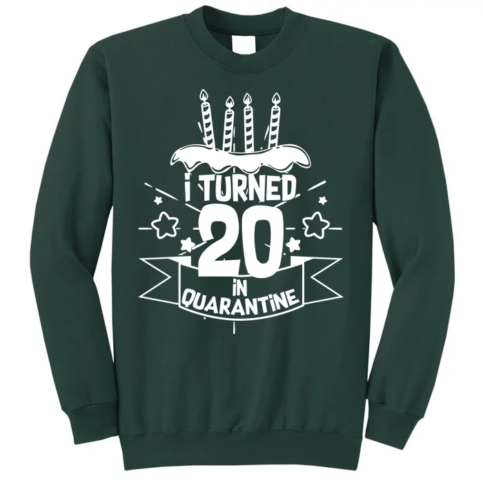 Funny I Turned 20 In Quarantine 20th Birthday Sweatshirt