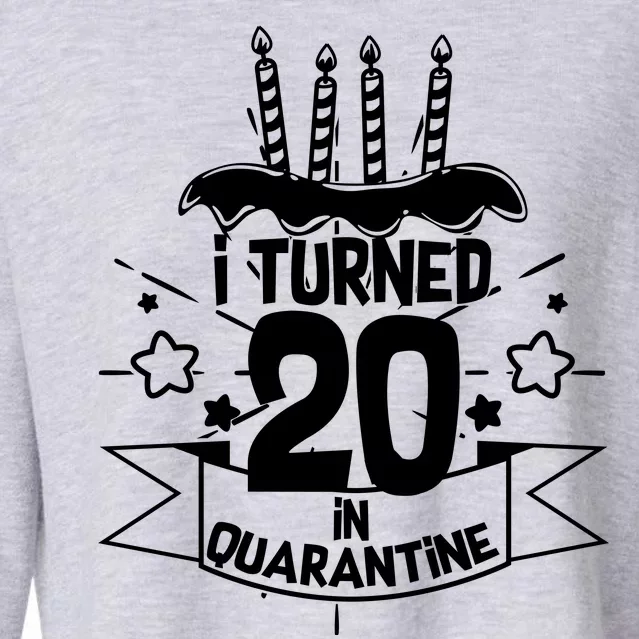 Funny I Turned 20 In Quarantine 20th Birthday Cropped Pullover Crew