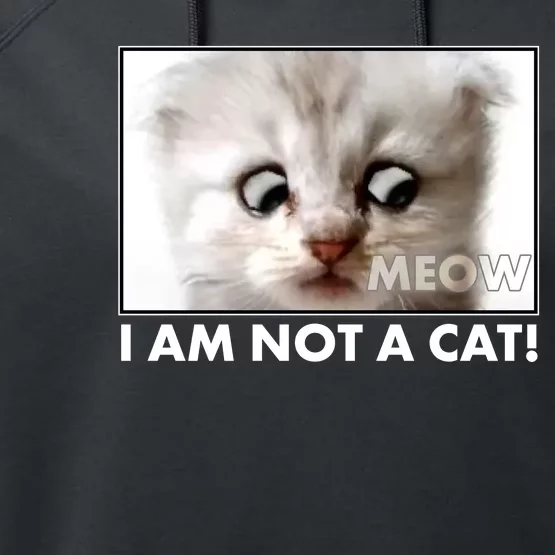 Funny I'm Not A Cat Zoom Lawyer Cat Meme Performance Fleece Hoodie