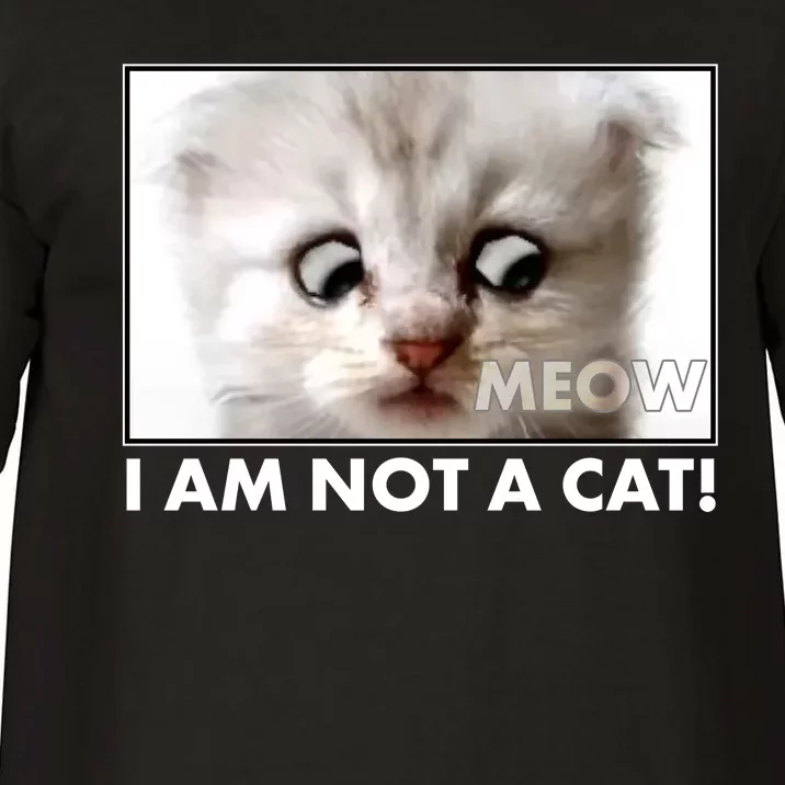 Funny I'm Not A Cat Zoom Lawyer Cat Meme Comfort Colors T-Shirt